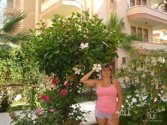  ,   , 53 ,   c 