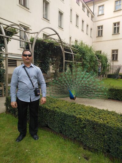  Praha,   Amadeus77773, 52 ,     , c 