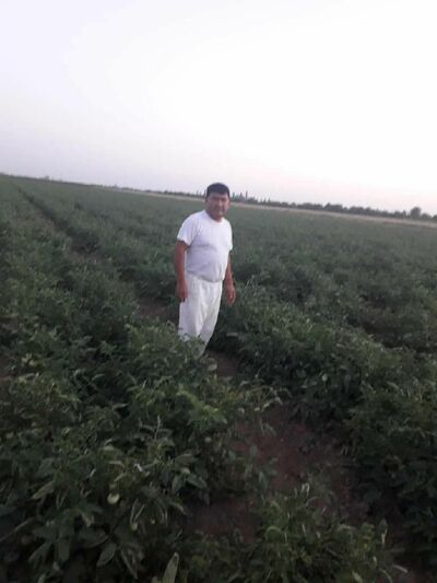  ,   , 54 ,   ,   