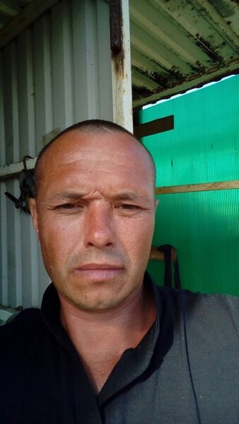   ,   , 45 ,  