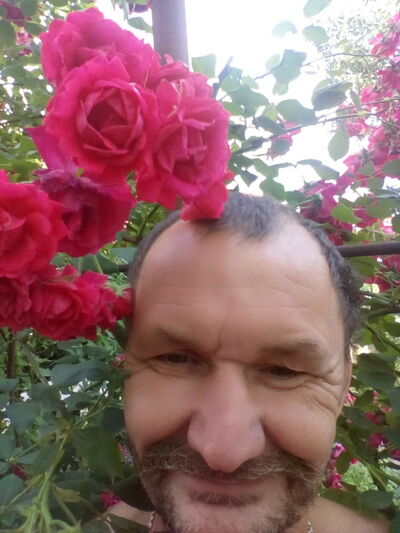   ,   Kesa, 55 ,   ,   , c 