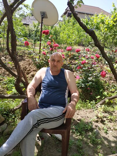 ,   , 53 ,   ,   