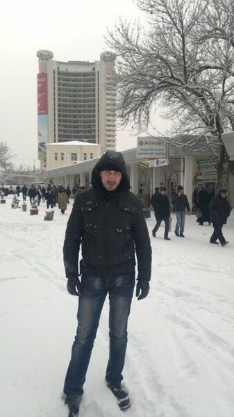  ,   BEK, 37 ,     , c 