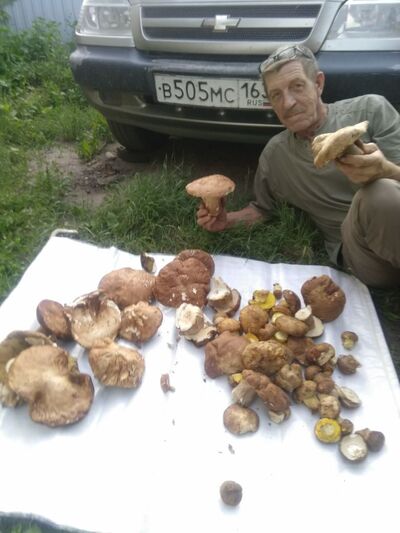  ,   , 62 ,   ,   