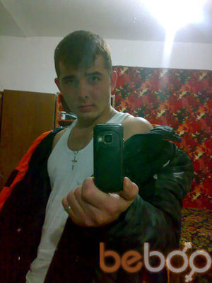  ,   BANDIT, 31 ,   ,   , c 