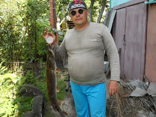  ,   , 59 ,   