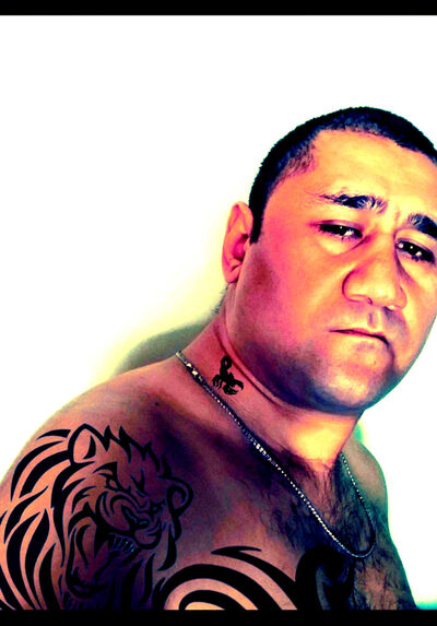  ,   , 43 ,  