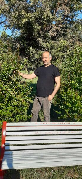  ,   Vahdettin, 45 ,   ,   