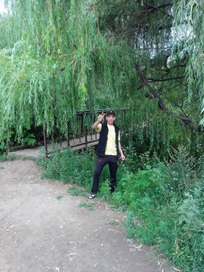  ,   , 41 ,   