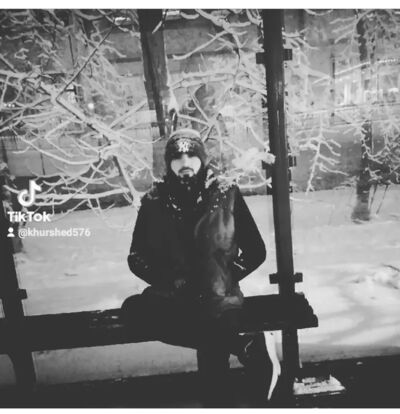  --,   , 28 ,   ,   , c 