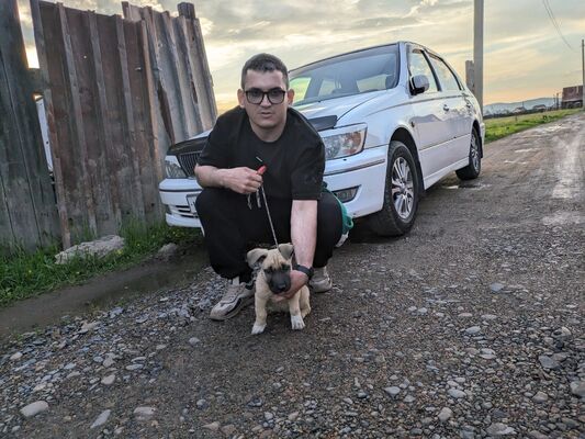  ,   Artur, 31 ,   ,   , c 