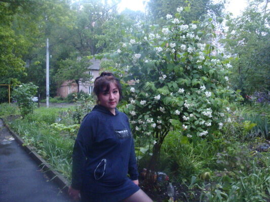  --,   , 46 ,   ,   , c 