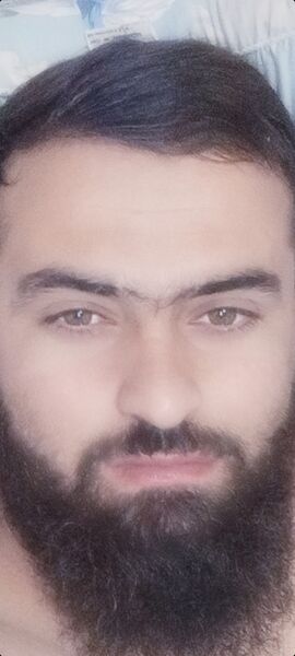  -,   , 38 ,   ,   , c 