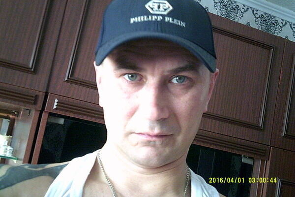  ,   Bdfy, 42 ,   