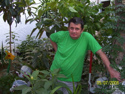  ,   Demis, 55 ,   