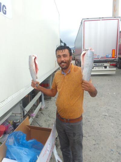  ,   Mahmut, 37 ,   ,   