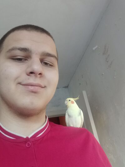  ,   , 21 ,   ,   