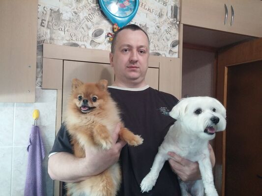  ,   , 50 ,   ,   , c 
