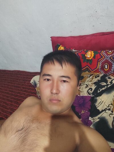  Szczecin Pogodno,   , 31 ,   ,   