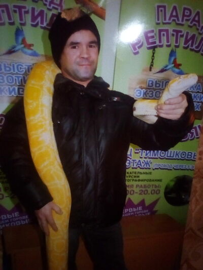  ,   , 44 ,   ,   , c , 