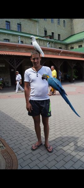  ,   , 33 ,   ,   , c , 