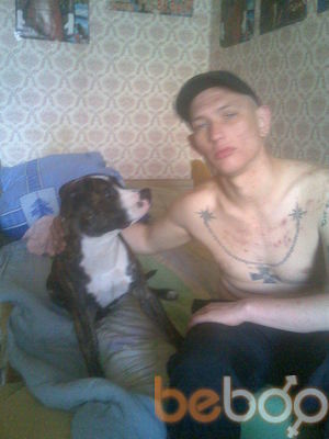 ���������� �������, ���� ������� ������86, 39 ���, ������������ ��� ������