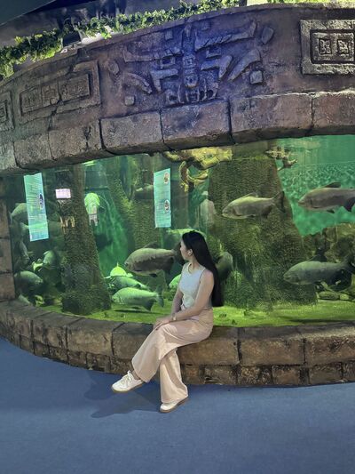  ,   , 26 ,   