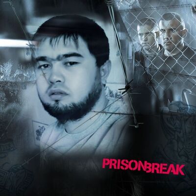  ,   , 41 ,   