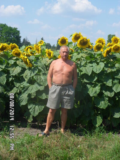  ,   , 74 ,     , c 