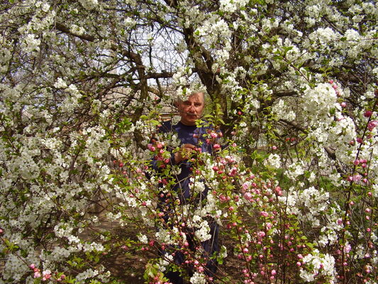  ,   Dima, 63 ,   
