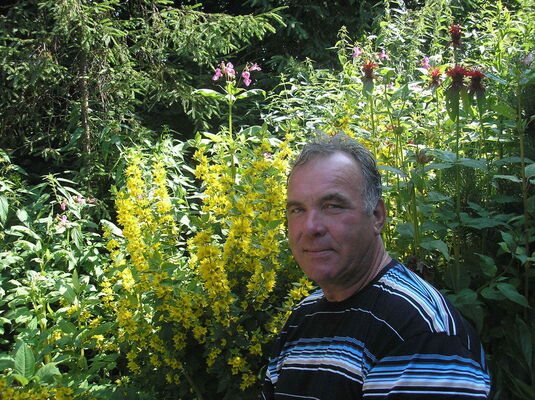  ,   , 71 ,   