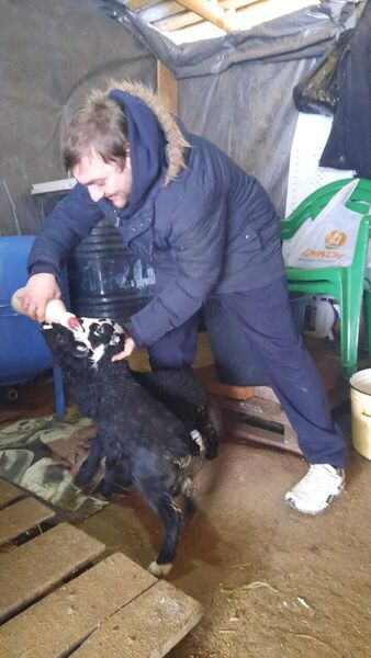  ,   , 35 ,   ,   , c , 