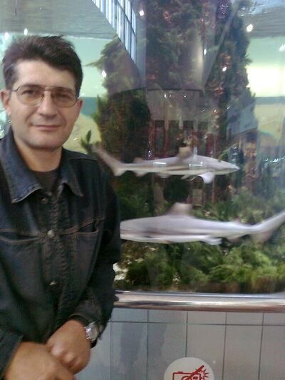  ,   , 54 ,   ,   , c 