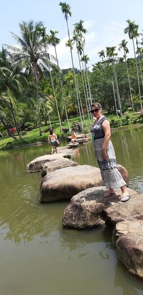  ,   , 51 ,   ,   , c 