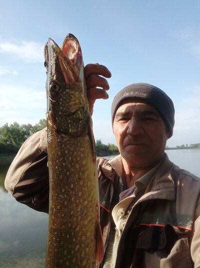  ,   , 61 ,   ,   