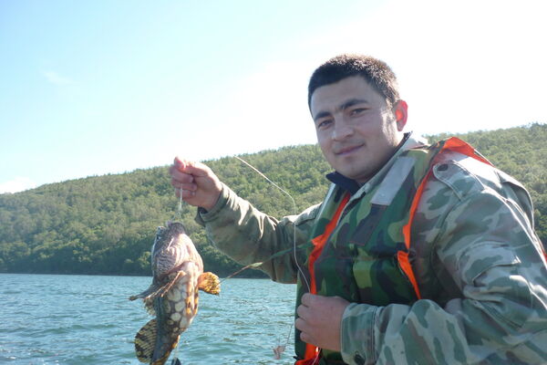  ,   Furqat, 33 ,   ,   , c 