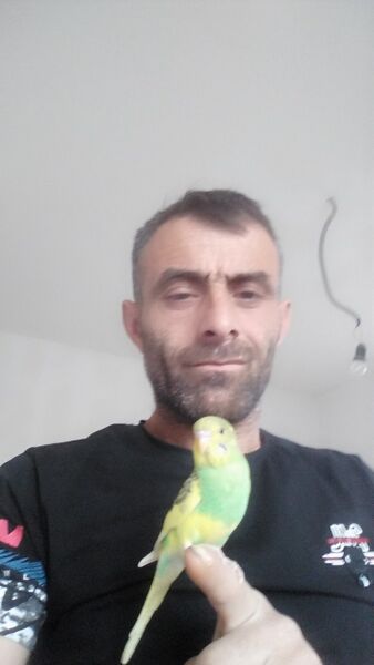  ,   , 44 ,   ,   , c , 