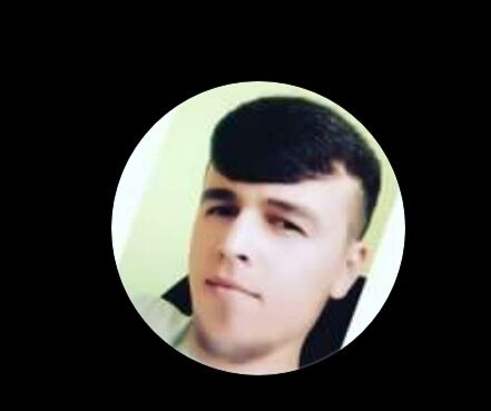  29124653  , 23 ,    