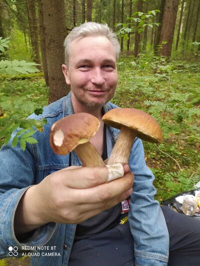  ,   , 41 ,   ,   