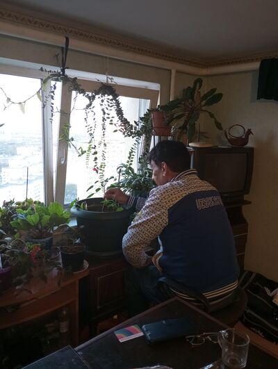 ,   , 56 ,   ,   