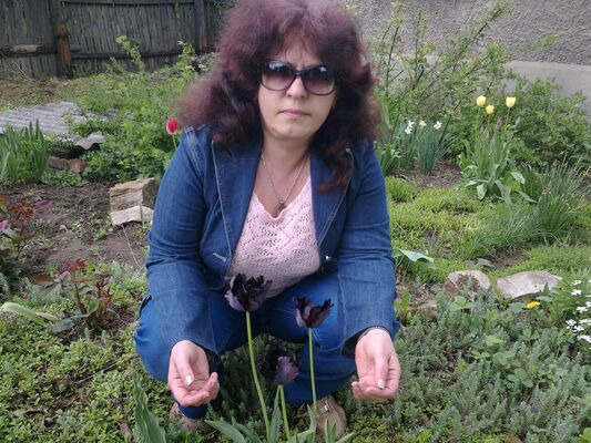  ,   , 55 ,  