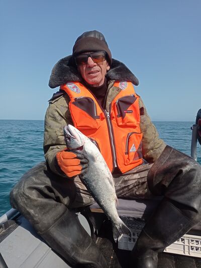  ,   , 65 ,   ,   , c 