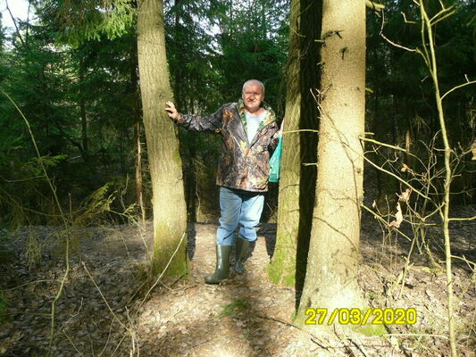  ,   , 65 ,  