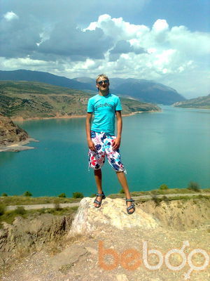  ,   Vertikal94, 31 ,   