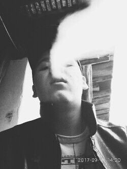  17862223  , 43 ,    -