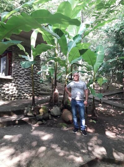  ,   Iuza, 56 ,     , c 