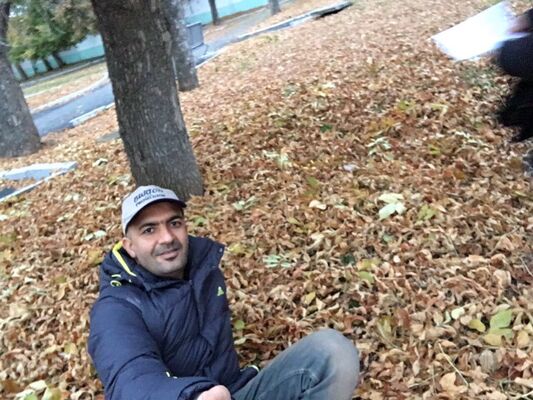  ,   ALI, 41 ,   ,   , c 