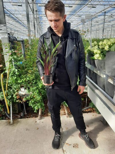  ,   , 27 ,   ,   , 