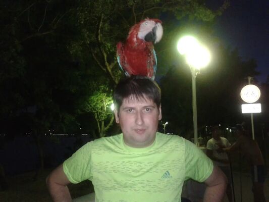  ,   , 38 ,     , c 