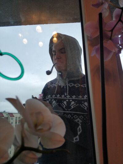 ���������� �����-���������, ���� ����� ����, 23 ����, ������������ ��� ������, ����� � ���������